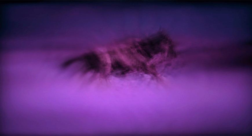 The Differentiator 2 the differentiator