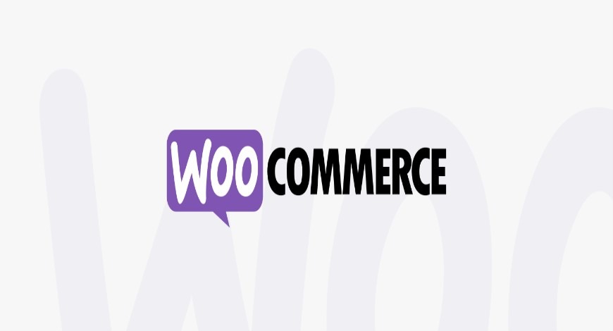 WooCommerce merchants can now list their products across Google seamlessly 2 woocommerce
